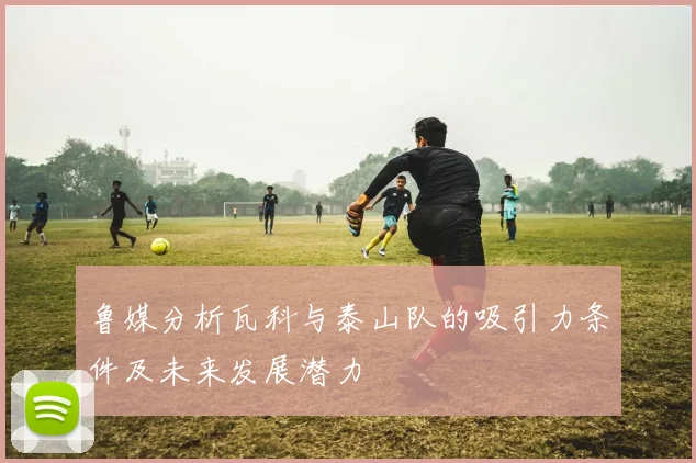 鲁媒分析瓦科与泰山队的吸引力条件及未来发展潜力