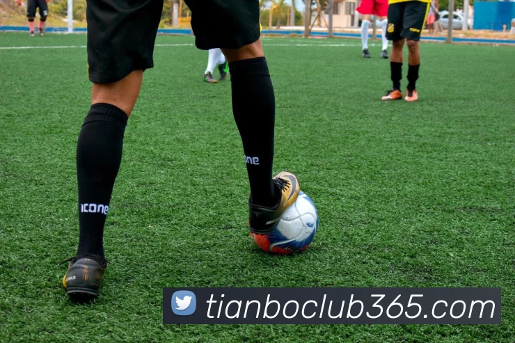 App Interface Preview