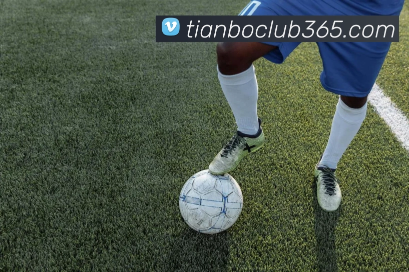 天博体育APP 封面图